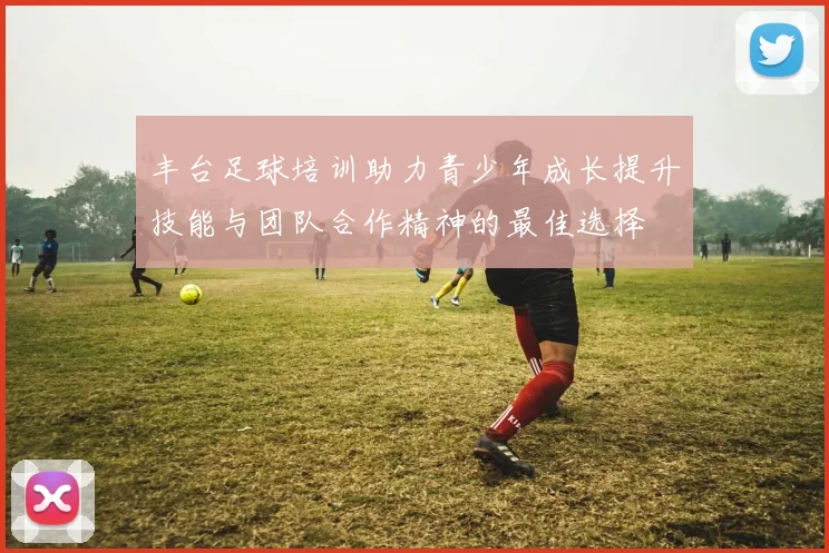 丰台足球培训助力青少年成长提升技能与团队合作精神的最佳选择