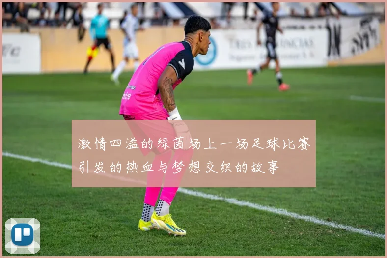 激情四溢的绿茵场上一场足球比赛引发的热血与梦想交织的故事