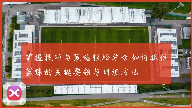 掌握技巧与策略轻松学会如何抓住篮球的关键要领与训练方法