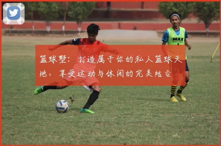 篮球墅：打造属于你的私人篮球天地，享受运动与休闲的完美结合