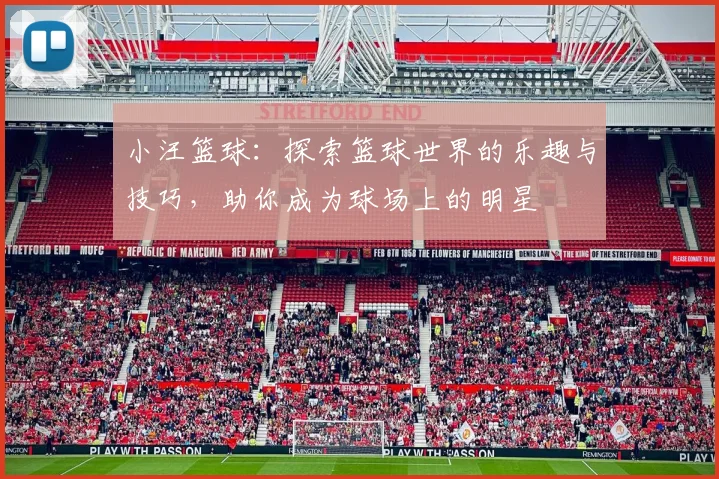 小汪篮球：探索篮球世界的乐趣与技巧，助你成为球场上的明星